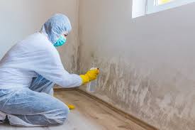 Reliable Plainfield, NJ Mold Prevention & Removal  Solutions